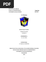 Download Lapsus Ca Mamma dhiahdocx by Nahdhiah SN229299674 doc pdf