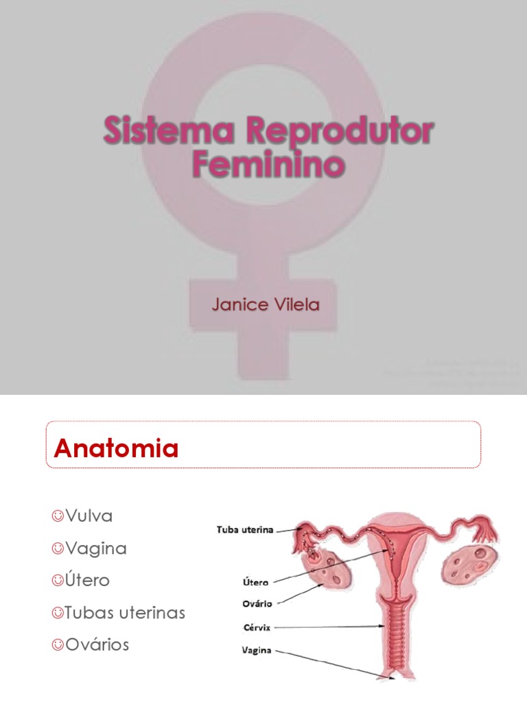 Sistema Reprodutor Feminino - Demo | PDF | Menstruação | Hormônio ...