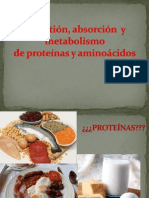 Teorico Digest Met Proteinas Aminoacidos1