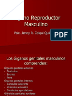 A - Org. Masculino