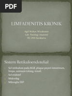 Limfadenitis Kronik