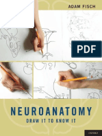 Neuroanatomy - Draw.it - To.know - It.2nd - Ed Parsamed - Ir