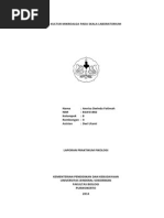 Download Kultur Mikroalga by Annisa Dwinda F SN229324335 doc pdf