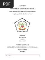 Download Pemenuhan Gizi Ibu Hamil by fitriannisa99 SN229325072 doc pdf