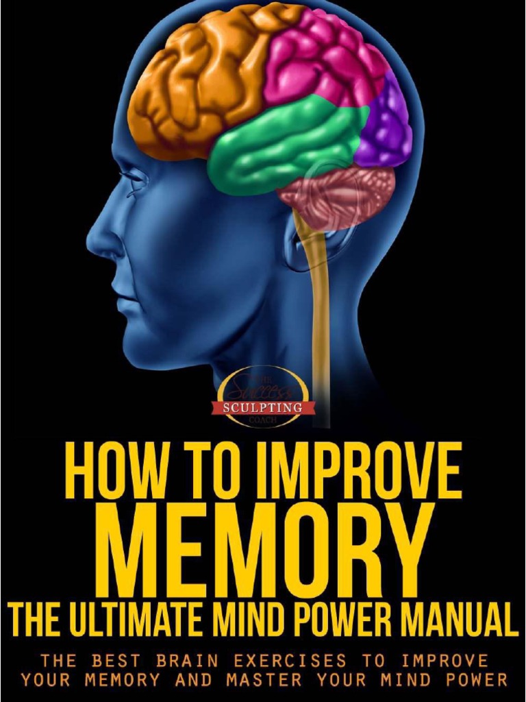 How To Improve Memory, PDF, Neurotransmitter