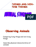 Preschool PPS 211-Animal Kingdom