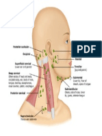 Lymphadenopathy