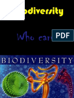 Biodiversity Meaning