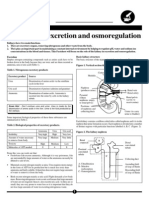 Kidney Function