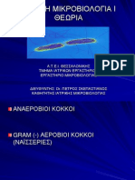 2. ΑΝΑΕΡΟΒΙΟΙ ΚΟΚΚΟΙ-ΝΑΪΣΣΕΡΙΕΣ