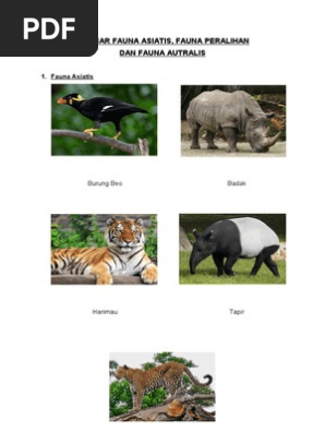 Unduh 9800 Gambar Flora Dan Fauna Asiatis Paling Bagus HD