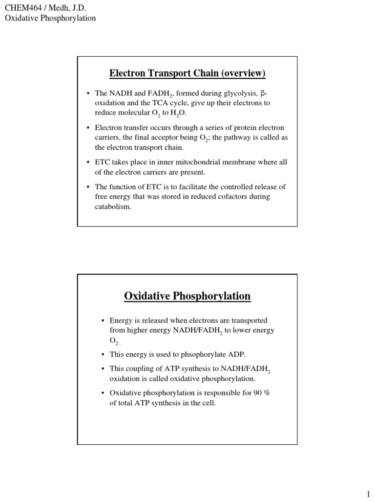 Oxidative Phosphorylation | PDF | Adenosine Triphosphate | Mitochondrion