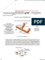 FK - Dicas de Blocos - 2