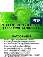Patogenesis Dan Diagnosis Laboratorium Shigella