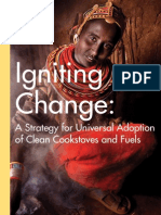 Igniting Change PDF