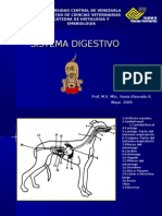 Sistema digestivo2009