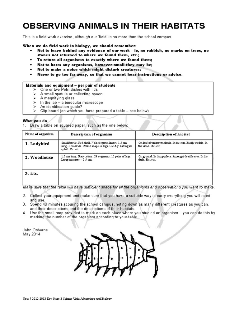 Field Guide to Observing Campus Animals | PDF | Language Arts ...