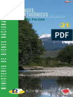 Andes Patagónicos Lago Palena - Ruta 21