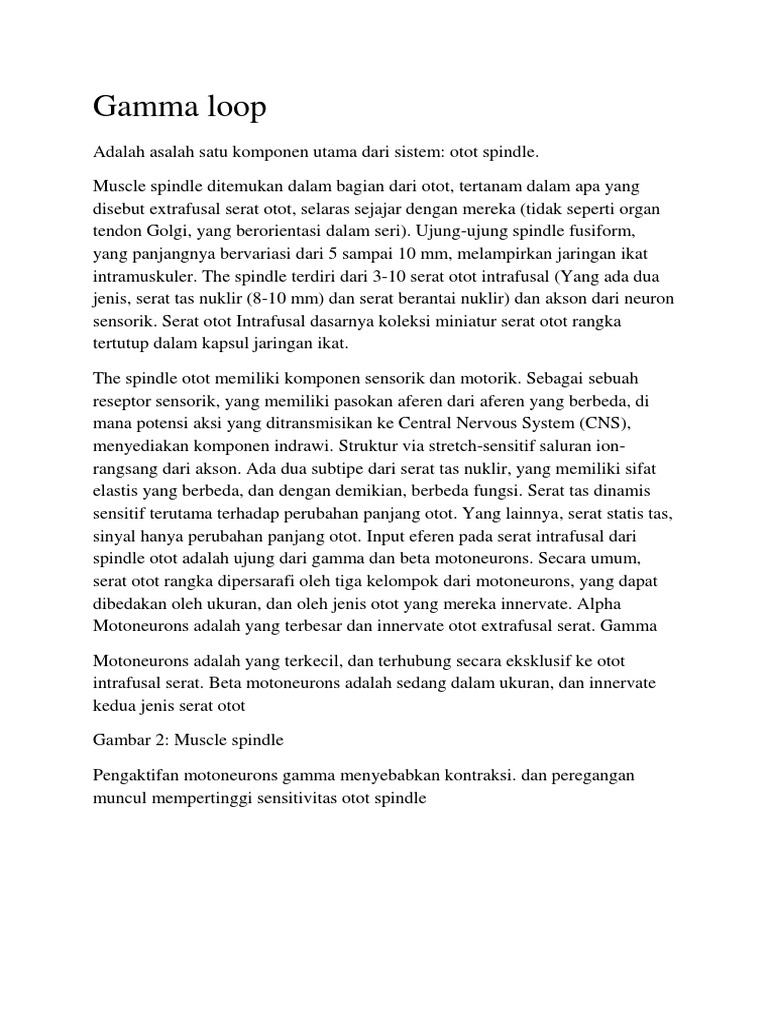 Gamma Loop dan Fungsi Otot Spindle | PDF