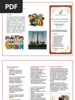 Triptico de Asuntos de Consumidores47