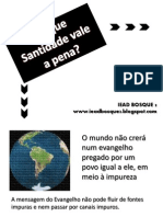 Santidade - vale pena.pdf