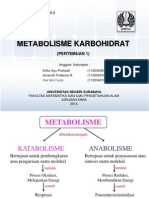 Metabolisme Karbohidrat - 1