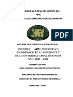 Informe Experiencia Profesional