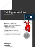 Patología carotídea: diagnóstico y tratamiento