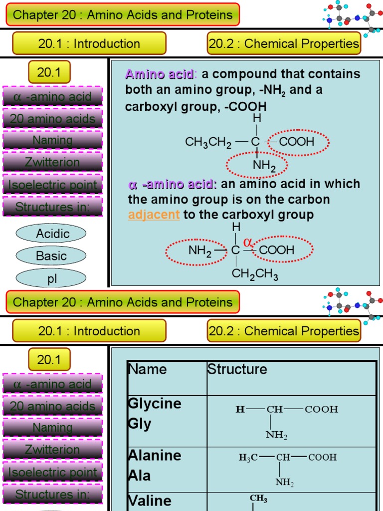Overview of 20 Standard Amino Acids | PDF | Carboxylic Acid | Amino Acid