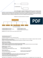 Como Elaborar Un Organigrama