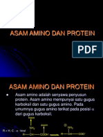 Asam Amino Dan Protein