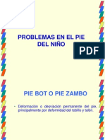 Pie Bot Presentación