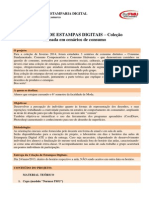 Av Regimental - Coleção de Estampas A Partir de Cenários de Consumo PDF