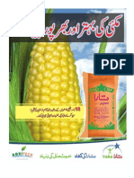 Maize Brochure