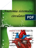 Anatomia Sistemului Circulator