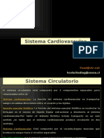 Sistema Circulatorio