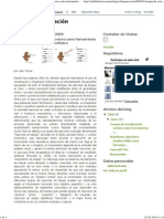 Neurorehabilitación_ Terapia de visualización motora como herramienta clínica en AVE y su base biológica.pdf