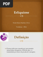 Erliquiose