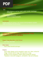 Download Kegunaan Dan Nama Daun Salam by Fedri Baysar SN229527344 doc pdf
