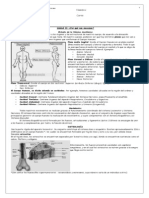 Guía Nómina Anatómica- 6to 2010 CHA