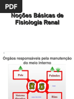 001. Introdução á Fisiologia Renal