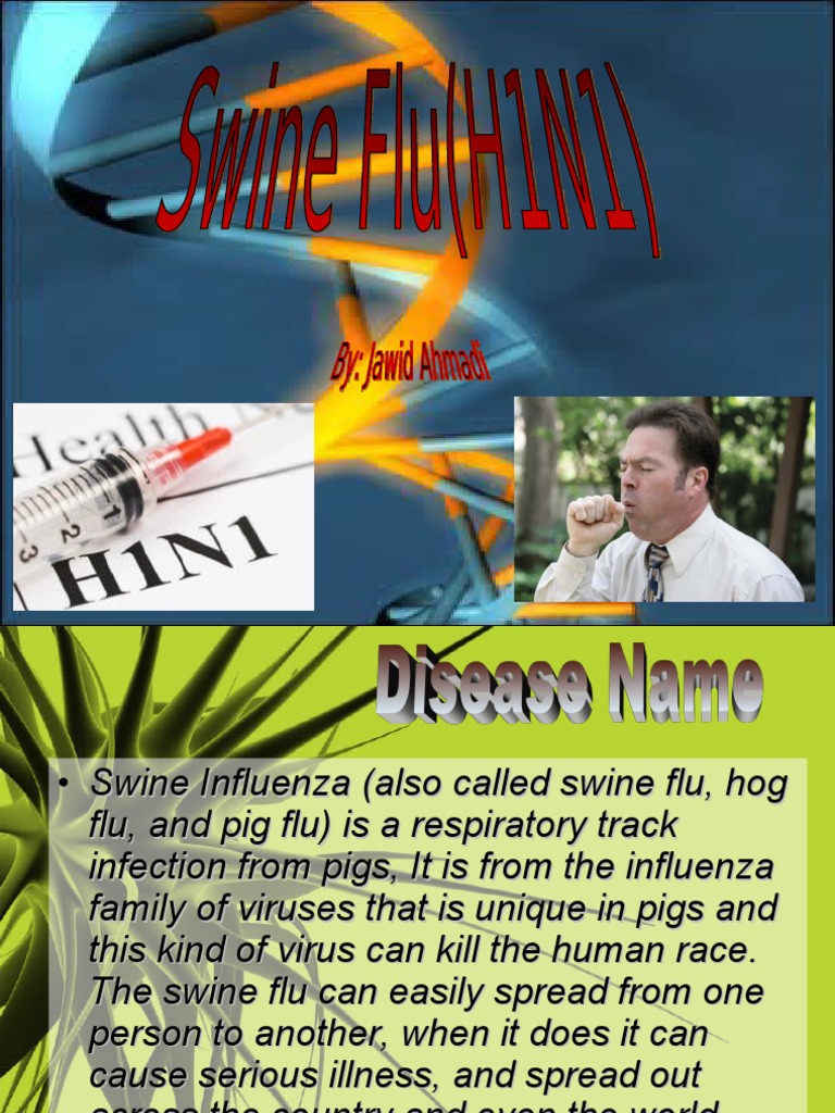 Powerpoint On Swine Flu | PDF | Influenza | Influenza A Virus Subtype H1 N1