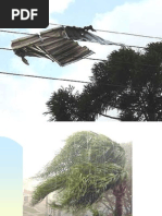 Roberto Tuyoshi Hosokawa[1]