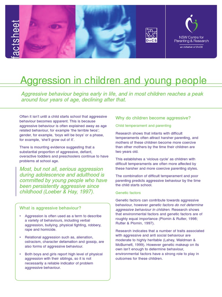 Understanding Aggression in Children | PDF | Aggression | Parenting