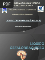 Análisis y Funciones del LCR en Medicina | PDF | Fluido cerebroespinal ...