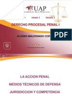 2 SEGUNDA SEMANA - La Accion Penal