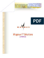 Magnus IT Solutions: (A Profile)