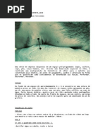 PROJETO FORMULAÇÕES