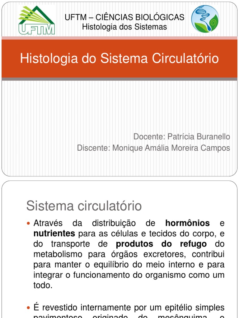 Histologia Do Sistema Circulatorio Arteria Coracao