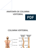 Anatomía de Columna Vertebral